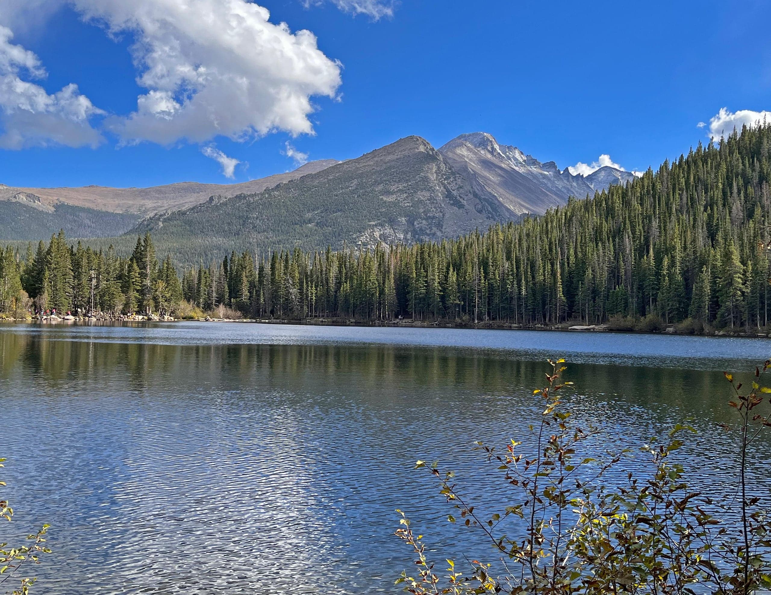 Bear Lake in Rocky Mountain National Park on a clear day. Rippled water fills the foreground, a dense ring of spruce and fir lines the far shore, and a rocky mountain summit rises beyond under a deep blue sky with white cumulus clouds.