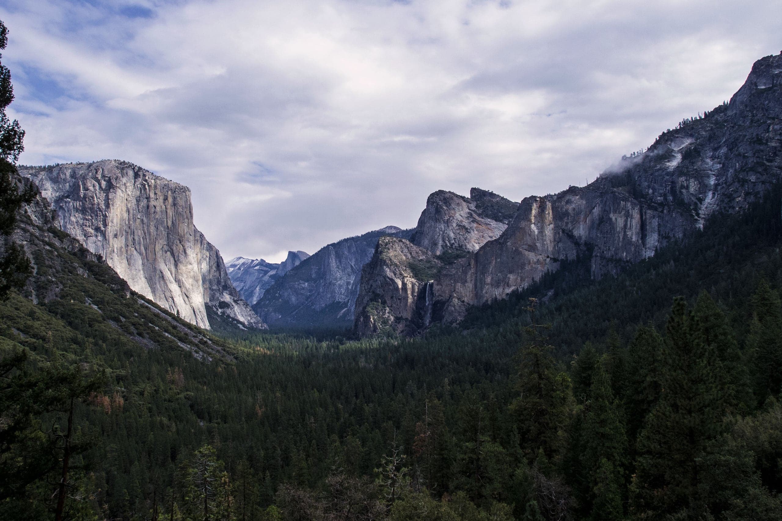 Yosemite Valley seen from Tunnel View under a bright overcast sky. The sheer granite face of El Capitan rises on the left, Bridalveil Fall spills down the cliffs on the right, the rounded crown of Half Dome sits in the far distance, and dense conifer forest fills the valley floor.